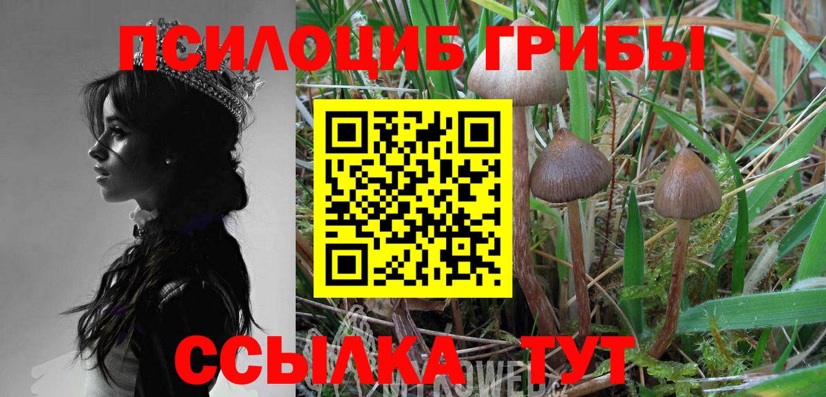 Псилоцибиновые грибы Psilocybine cubensis  Псилоцибиновые грибы Psilocybine cubensis  Вход с VPN  Алейск 