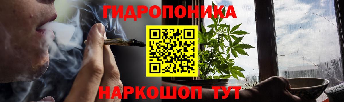 Конопля сатива Алейск